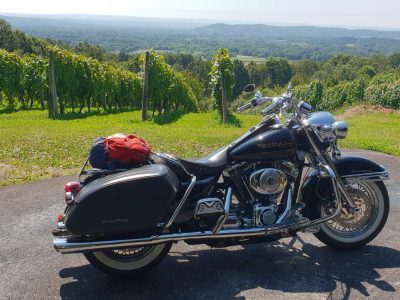 IMG-47f2ff98b2487310de99a12afd12dd88-V